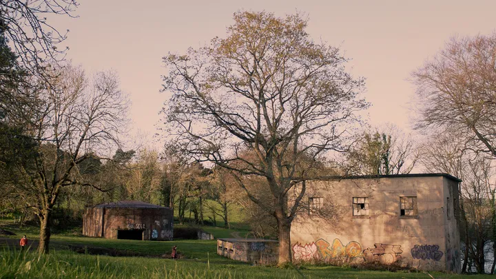 Still from Skive — bunker trees